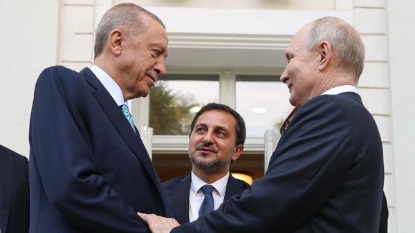 Президент РФ В. Путин провел переговоры с президентом Турции Р. Т. Эрдоганом - Sputnik Moldova