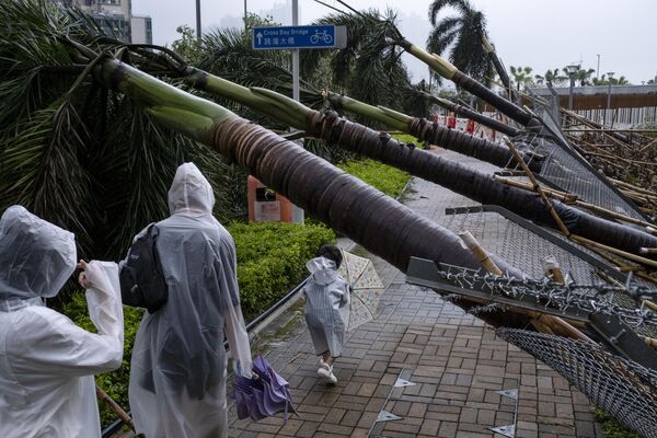 Люди пробираются мимо поваленных деревьев после тайфуна &quot;Саола&quot; в Гонконге. - Sputnik Молдова