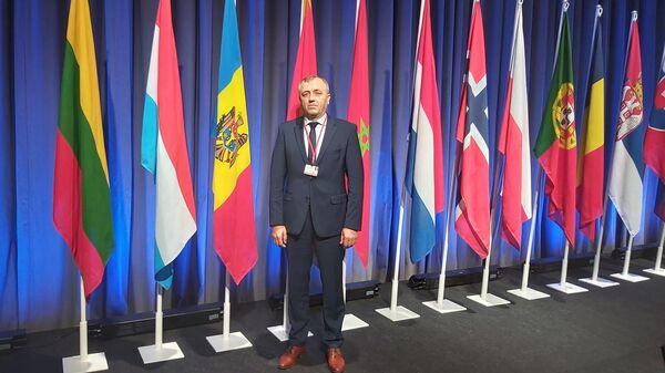 Молдавский депутат обсудил с замгенсека НАТО укрепление сотрудничества страны с альянсом - Sputnik Молдова
