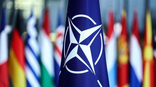 В НАТО заявили о приостановке участия в ДОВСЕ - Sputnik Молдова