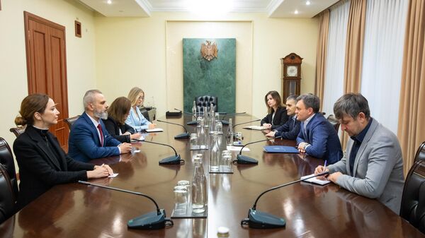 Дорин Речан на встрече с представителями Европейской сети организаций по наблюдению за выборами - Sputnik Молдова