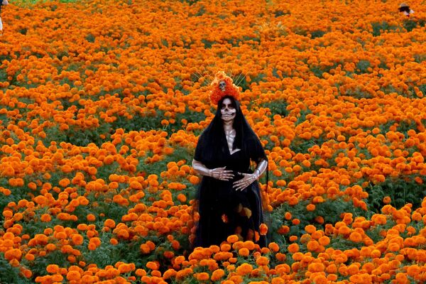 Женщина, одетая как Катрина, позирует для фото на поле цветка кемпазучитль - мексиканского бархатца (Tagetes erecta) - в рамках подготовки к празднованию Дня мертвых в Тлайомулько-де-Сусига, штат Халиско, Мексика, 26 октября 2023 года. - Sputnik Молдова