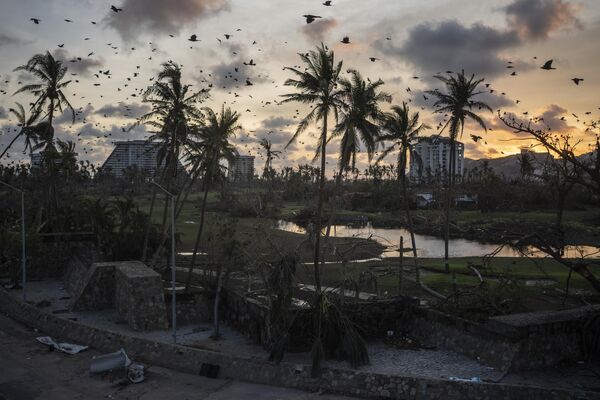 Птицы летают над обломками после урагана Отис в Акапулько, Мексика - Sputnik Молдова