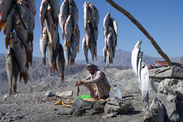 Афганский продавец сортирует рыбу, ожидая покупателей на холмистой дороге в районе Суроби провинции Кабул, 13 ноября 2023 года.  - Sputnik Молдова