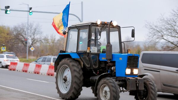 Слусарь: полиция запугивает фермеров на юге, чтобы те прекратили протесты - Sputnik Молдова