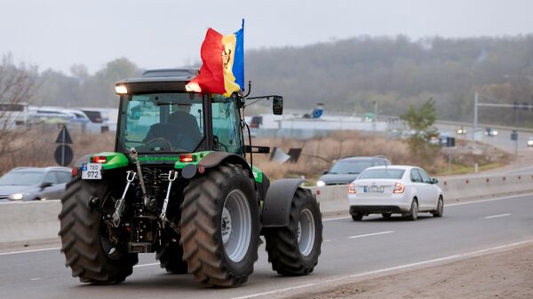 Министр рассказал правду о молдавском сельском хозяйстве - Sputnik Молдова