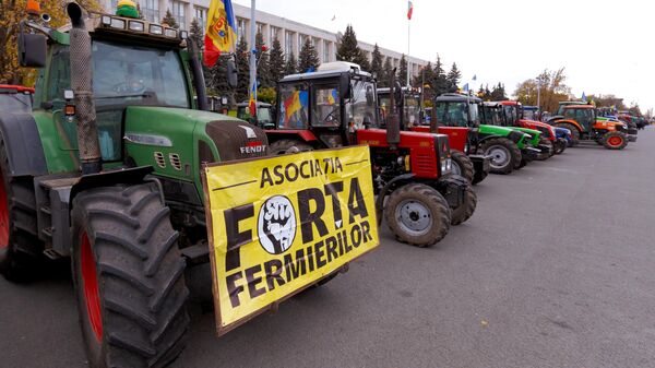 Protestul fermierilor din fața clădirii Guvernului - Sputnik Moldova
