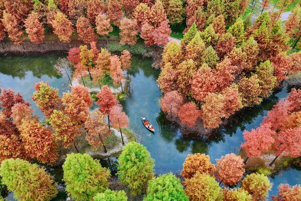  Люди катаются на лодке в осеннем парке в Наньтуне, китайской провинции Цзянсу - Sputnik Молдова