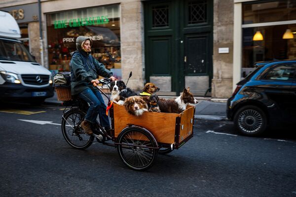 Женщина перевозит собак на велосипеде в Париже - Sputnik Молдова