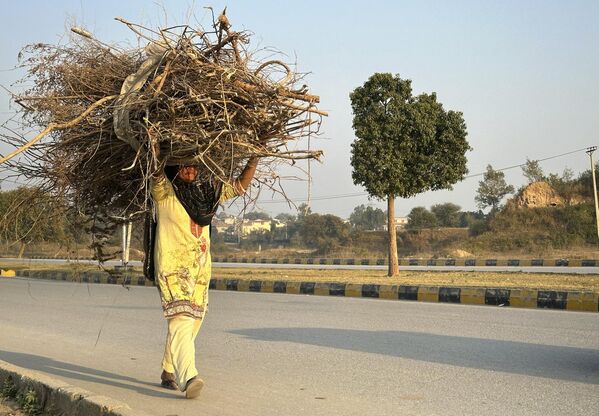 Пакистанская женщина несет дрова в Исламабаде, Пакистан, понедельник, 11 декабря 2023 г. - Sputnik Молдова
