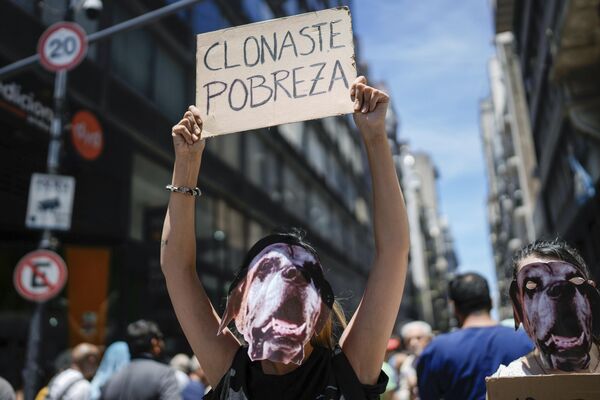 Протестующий в маске собаки держит плакат Вы клонировали бедность во время митинга у здания Верховного суда против экономических реформ президента Хавьера Милея в Буэнос-Айресе, Аргентина - Sputnik Молдова
