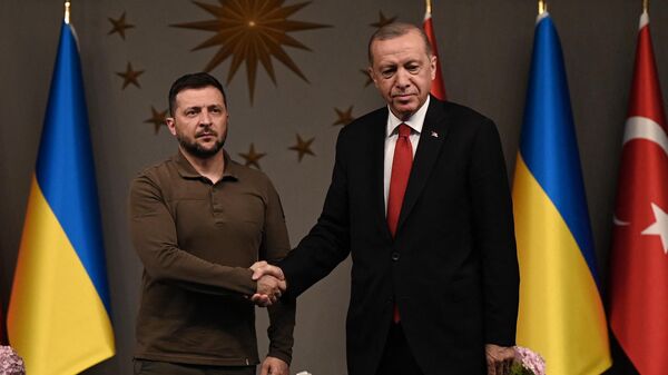 Volodymyr Zelensky și Recep Tayyip Erdogan - Sputnik Moldova