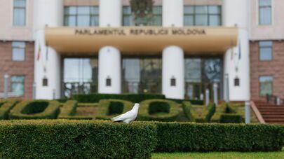 Протест партии "Возрождение" против голосования по почте почтовый ящик