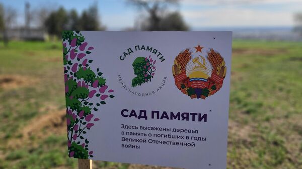 В Приднестровье прошла акция Сад памяти - Sputnik Молдова