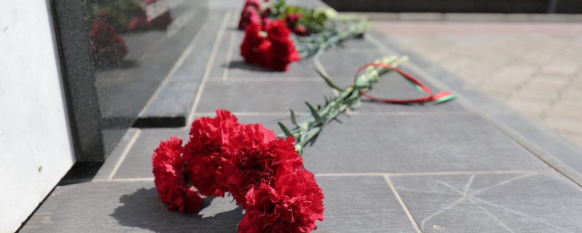 Память погибших солдат и офицеров Красной армии почтили на Варницком плацдарме - Sputnik Молдова, 1920, 14.04.2024