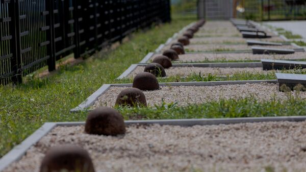 Захоронения советских воинов на мемориале в Шерпенах благоустроено усилиями поисковиков - Sputnik Молдова