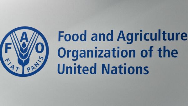 Organizația pentru Alimentație și Agricultură - Sputnik Moldova
