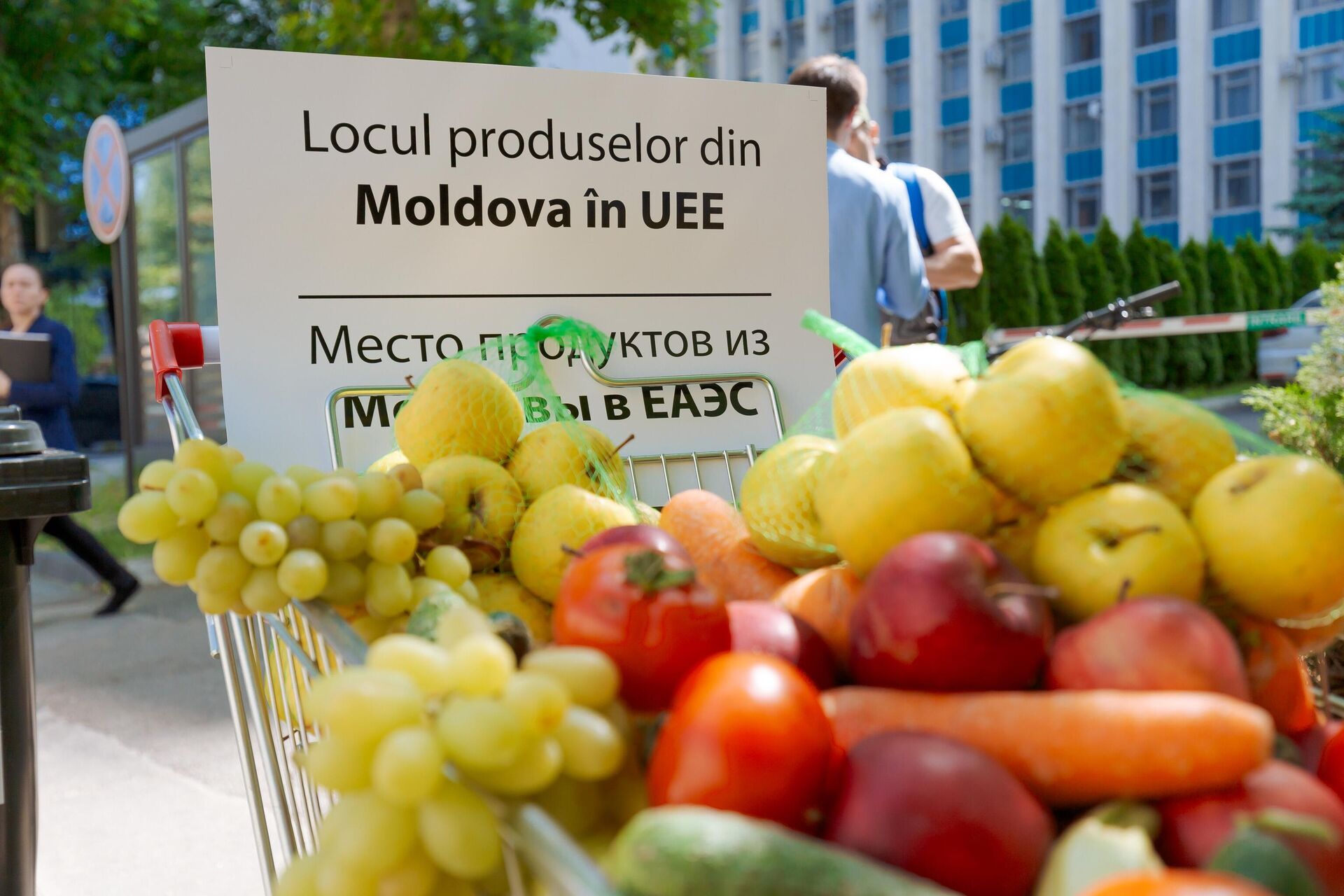 Акция блока Победа у здания правительства Молдовы под лозунгом Евросоюзу не нужны наши продукты - Sputnik Moldova, 1920, 22.05.2024