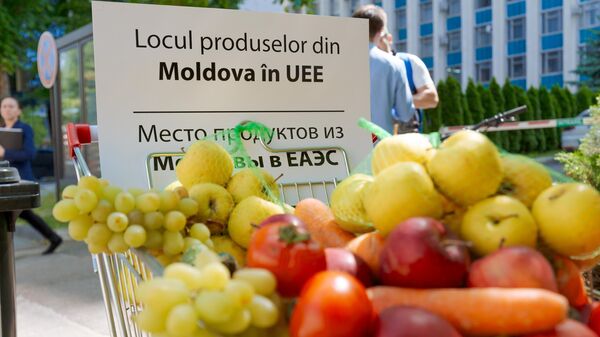 Акция блока Победа у здания правительства Молдовы под лозунгом Евросоюзу не нужны наши продукты - Sputnik Молдова