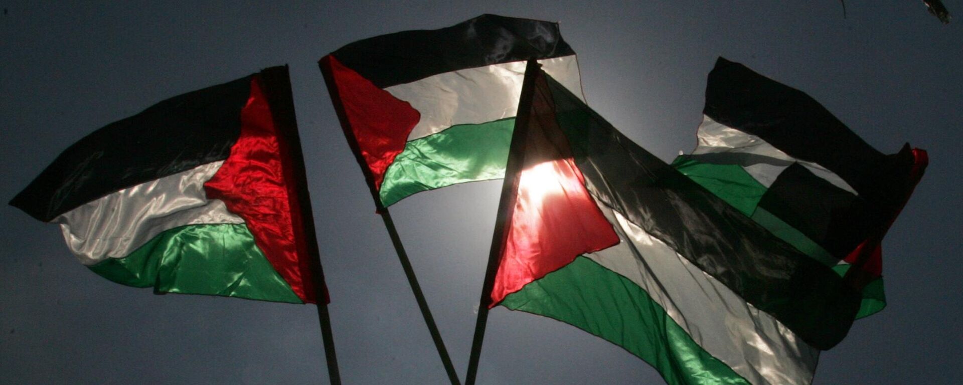 Palestinieni cu steaguri - Sputnik Moldova, 1920, 18.03.2025