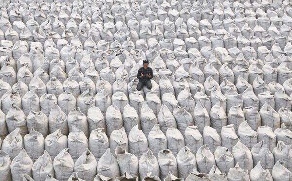 Praying in the field. Bangladesh. My Planet, single. - Sputnik Moldova