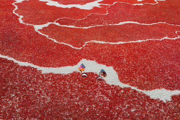 From Soil to Spice. Bangladesh. Top View, single. - Sputnik Moldova