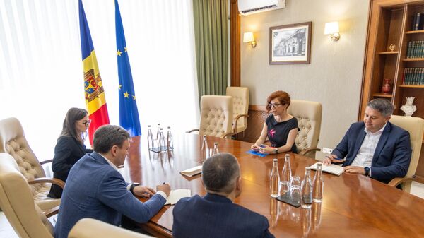 Премьер-министр Дорин Речан на встрече с постоянным представителем ПРООН в Молдове Даниэлой Гаспариковой - Sputnik Молдова