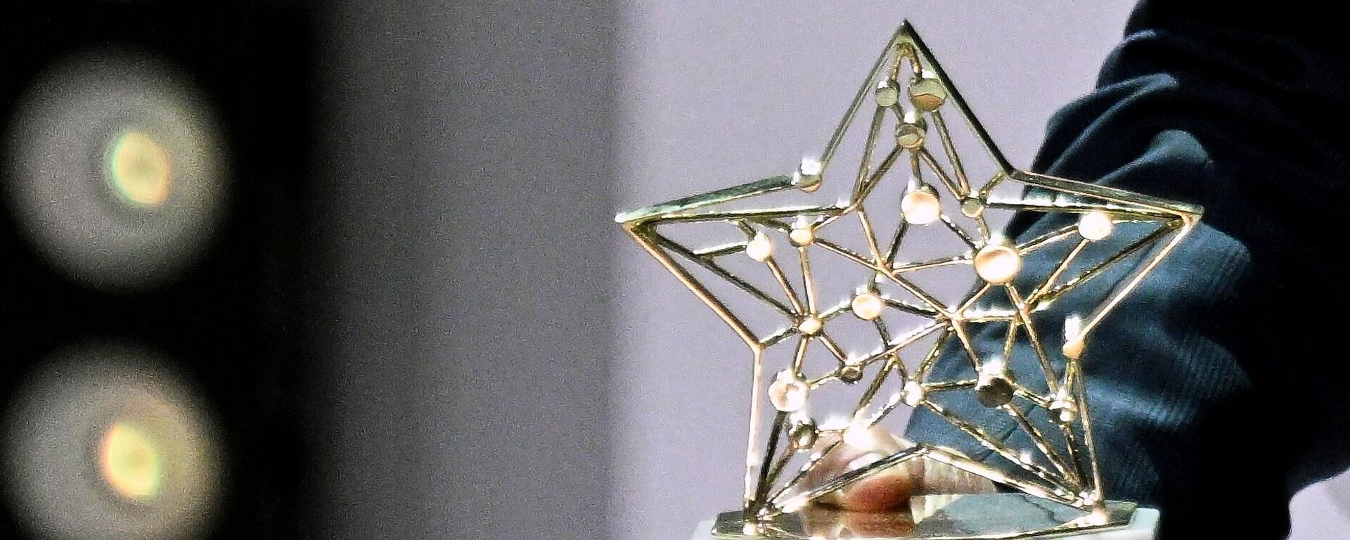 X Всероссийская премия За верность науке - Sputnik Молдова, 1920, 29.10.2024