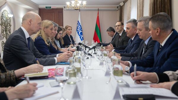 Встреча руководства Приднестровья с действующим председателем ОБСЕ Элиной Валтонен - Sputnik Молдова