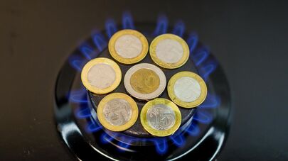 Молдавские леи на конфорке