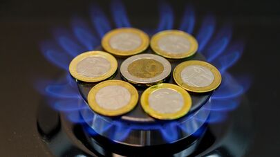 Молдавские леи на конфорке