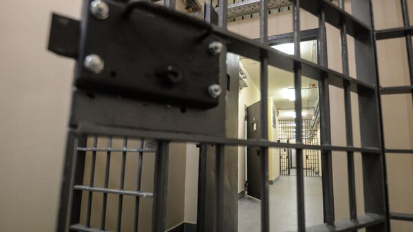 Амнистия для особо опасных преступников, скандал с судьями, нищета в Молдове - Sputnik Молдова