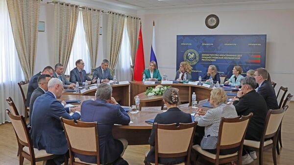 Встреча главы МИД Приднестровья Виталия Игнатьева с  делегацией постоянных представителей стран Северной Европы и Балтии при ОБСЕ - Sputnik Moldova