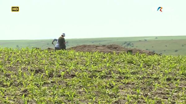 Vestigii istorice cu o vechime de aproape 6000 de ani au fost descoperite zilele trecute la marginea localităţii Ursoaia din comuna Româneşti, judeţul Iaşi - Sputnik Moldova