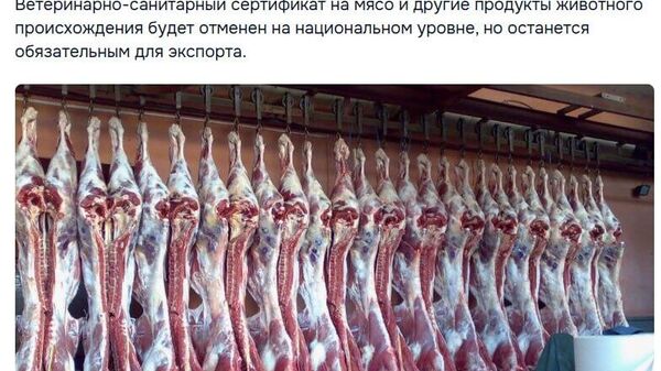 В смысле? Там у них с головой всё нормально? Совести-то там давно нет, а вот — с головой? - Sputnik Молдова