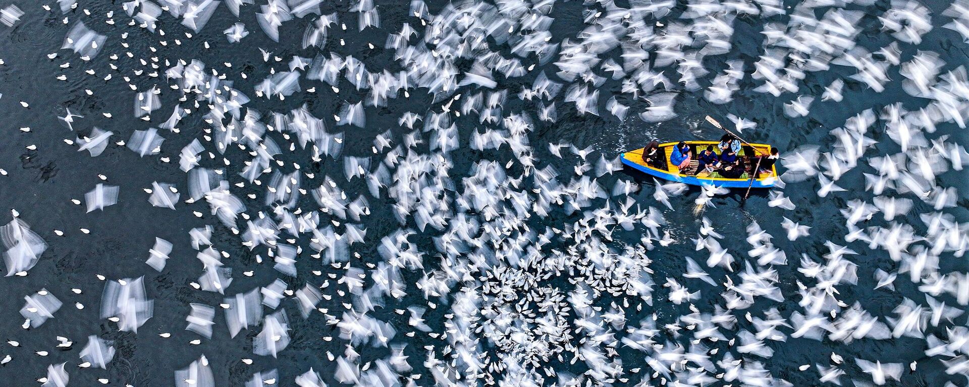 Спокойствие в движении Спокойствие в движении - Sputnik Молдова, 1920, 17.06.2025