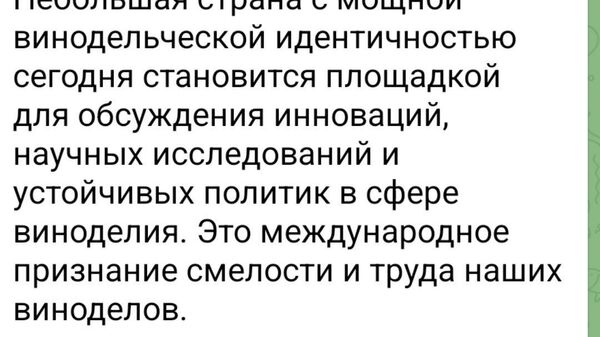 Наш незабвенный пресс-секретарь правительства Даниэл Водэ опять запустил утку - Sputnik Молдова