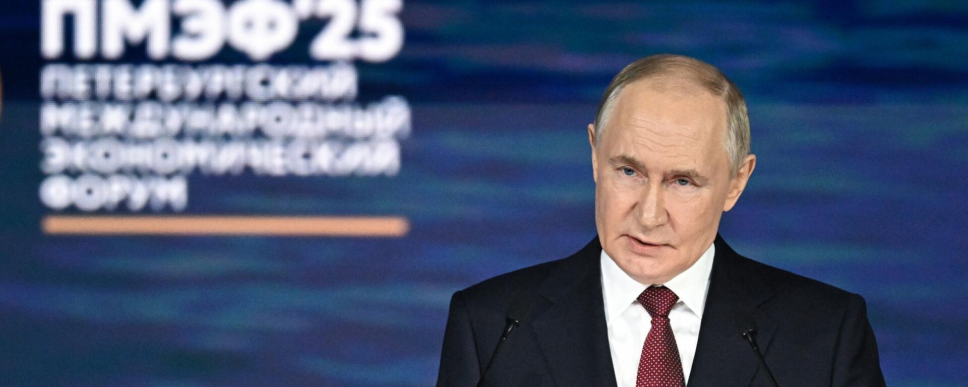Выступление президента России на Петербургском международном экономическом форуме - Sputnik Молдова, 1920, 20.06.2025