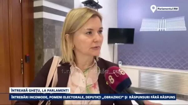 PAS nu a putut atrage investiții din cauza - Sputnik Moldova