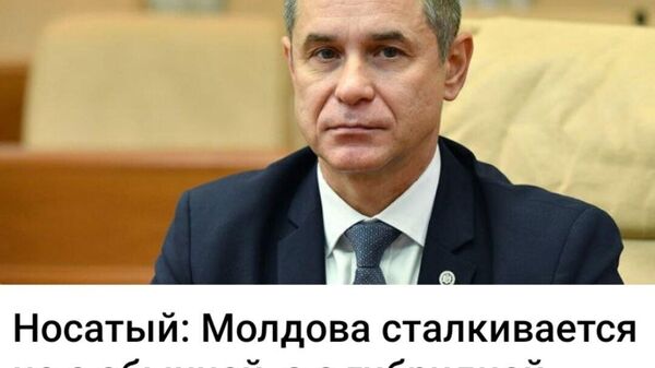 Lupta mea - Sputnik Молдова