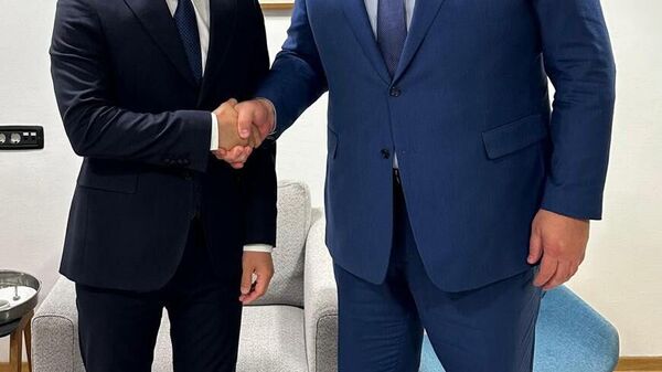 Столпы мировой дипломатии — главы МИД Молдовы и Украины Попшой и Сибига - встретились в Дубровнике - Sputnik Молдова