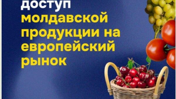 Так ведь недавно также срочно и также громко заявляли то же самое - Sputnik Молдова
