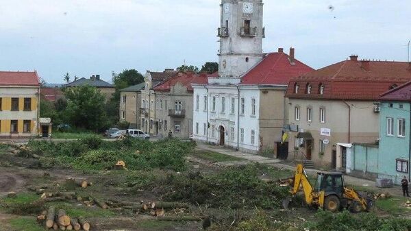 Во Львове начали бороться с деревьями из-за их советского происхождения - Sputnik Молдова