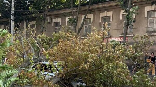 Буря не обошла Кишинев стороной - Sputnik Молдова