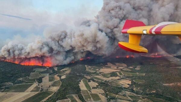Incendii forestiere - Sputnik Moldova