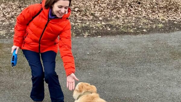 Кодруционный суд - Sputnik Молдова