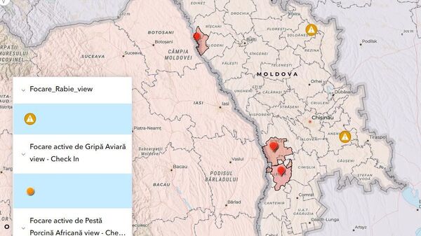 Новые случаи африканской чумы свиней выявлены в Молдове — Нацагентство по безопасности продуктов питания - Sputnik Молдова