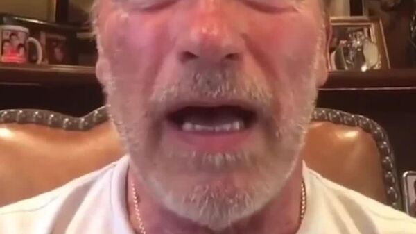 Арнольд Шварценеггер стыдит Трампа – тряпка, дескать, не то что Рейган, который когда-то давал команду Горбачеву: снеси Берлинскую стену - Sputnik Молдова