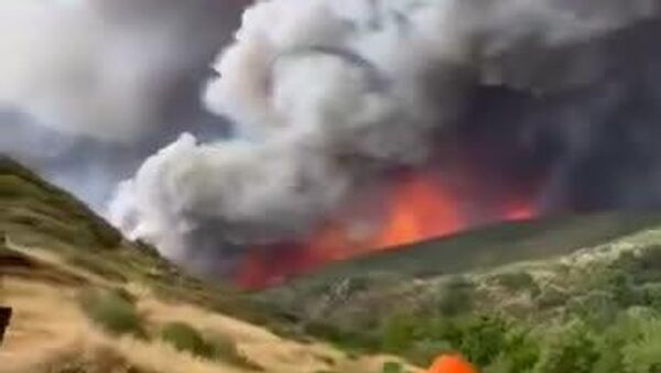 Почти 30 человек с 1 июня были задержаны в Испании по подозрению в разжигании природных пожаров, охвативших страну - Sputnik Молдова