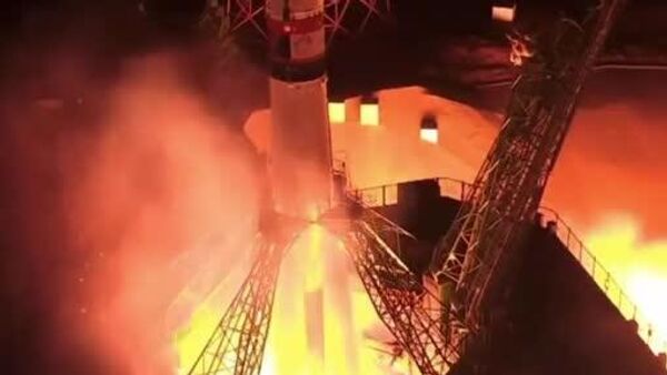 75 мышей и 1,5 тыс - Sputnik Молдова